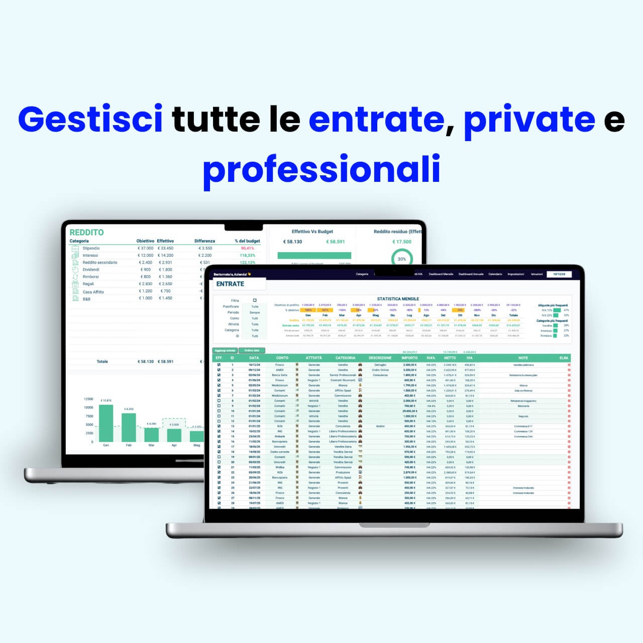 Statistiche delle entrate private e aziendali con foglio Excel