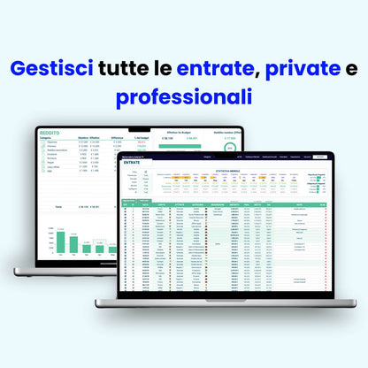 Statistiche delle entrate private e aziendali con foglio Excel
